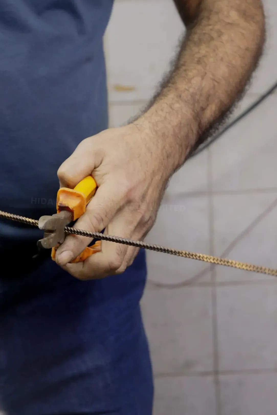 DASINGLESHWAR PRIVATE LIMITED 8